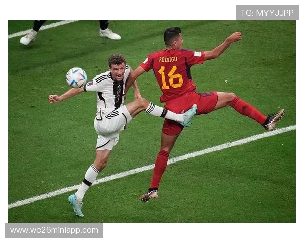 卡塔尔世界杯球迷的精彩瞬间，社交媒体上热传的感人瞬间与精彩画面