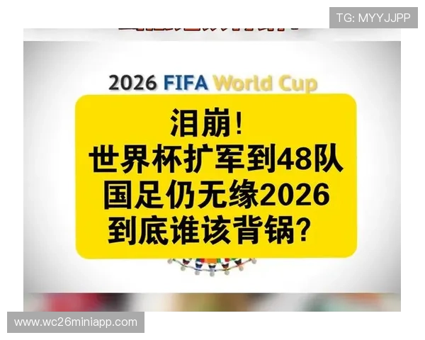 2026年世界杯48队参赛球队历史战绩与晋级机会深度分析