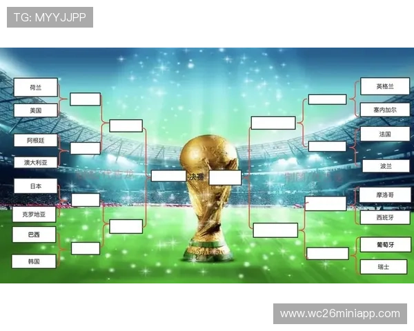 全面解读世界杯当前排名变化趋势，了解各大强队的排名调整与未来走势预测